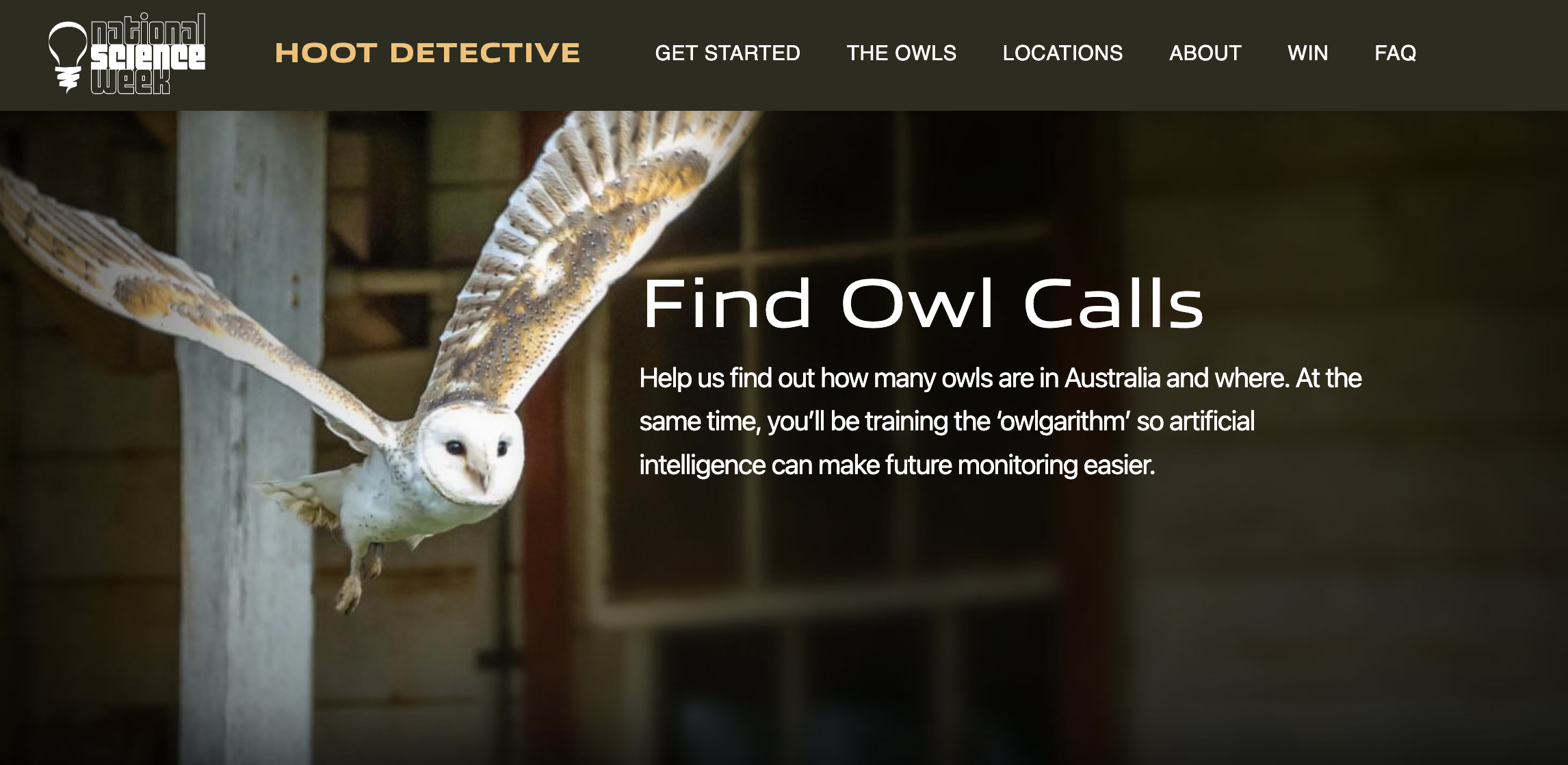 Hoot_detective