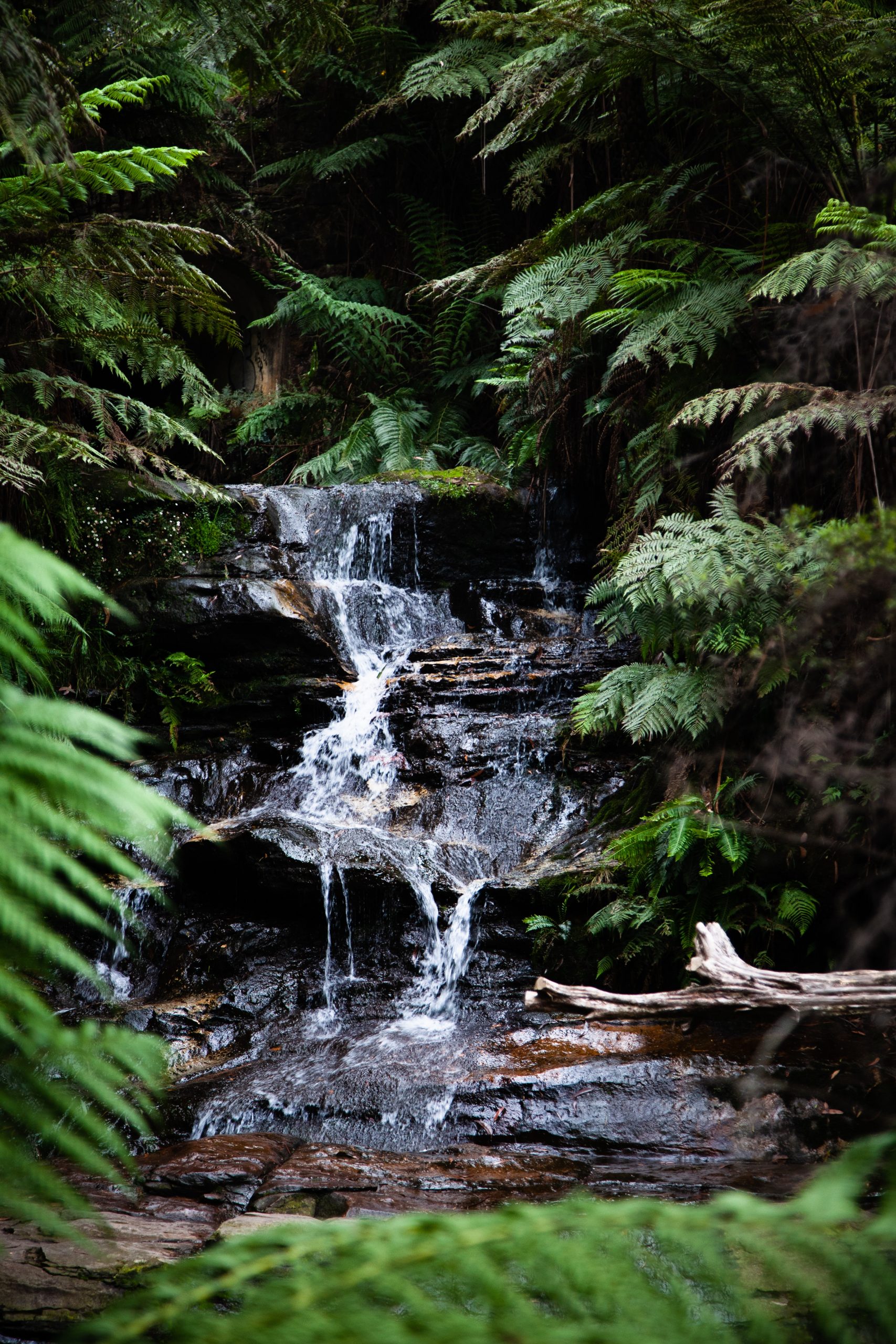 deleece-cook-JnfFsMBwe2A-unsplash