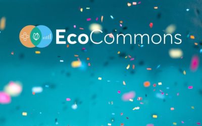 EcoCommons public launch November 2022